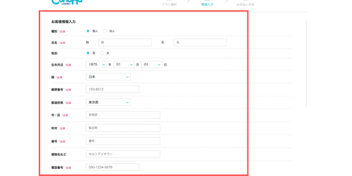 お客様情報を入力する